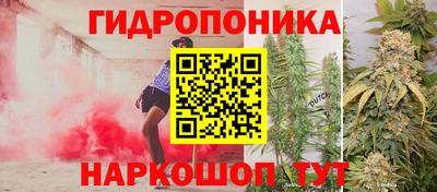 прущие крисы Новокубанск