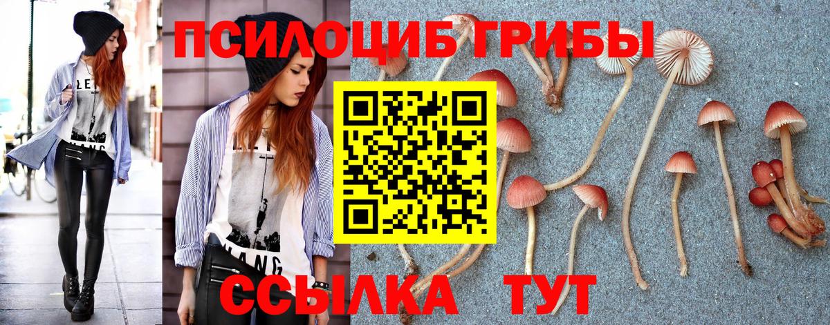 Псилоцибиновые грибы мицелий  Псилоцибиновые грибы Psilocybine cubensis  Вход с VPN  Туапсе 