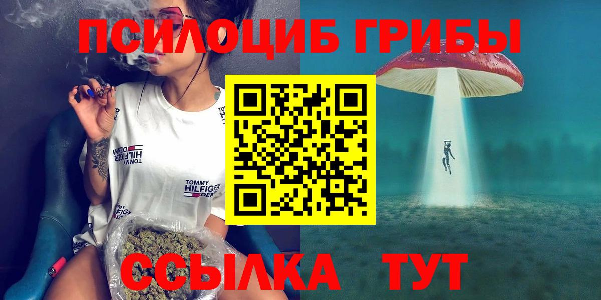 Псилоцибиновые грибы Psilocybine cubensis Туапсе